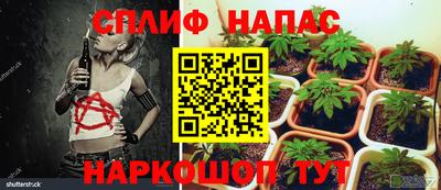 дурь Аргун