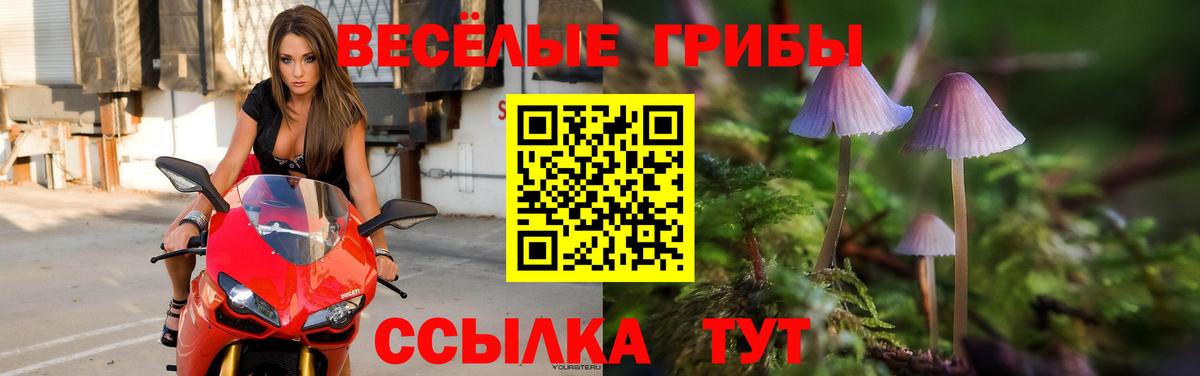 Галлюциногенные грибы Cubensis Великий Устюг